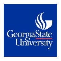 Georgia State University used groupwisdom